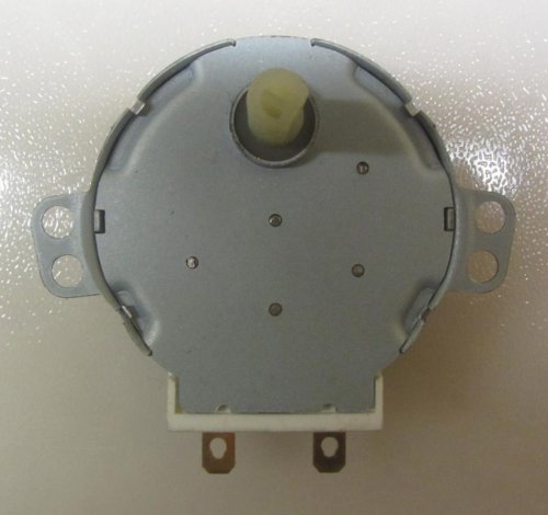 Synchronous Motor 49TYZ-A1