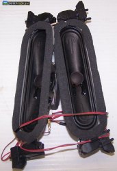 Speaker set L0AA14C00004 6ohm 12.5W From Panasonic TC-50PX24 TV